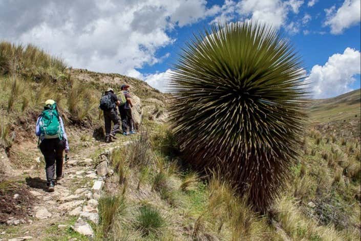 Take in stunning landscapes