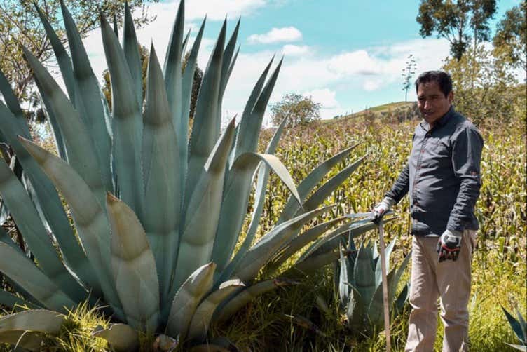 Disfrutando del tour por Jauja