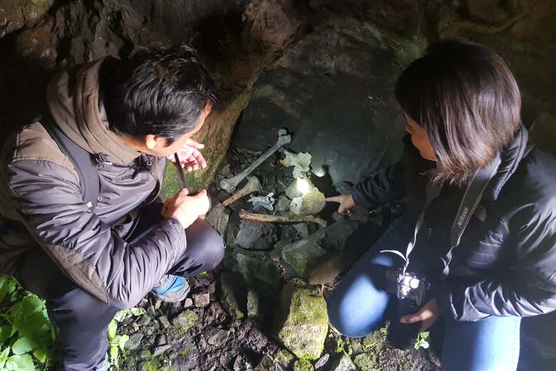 Hombre de Lauricocha