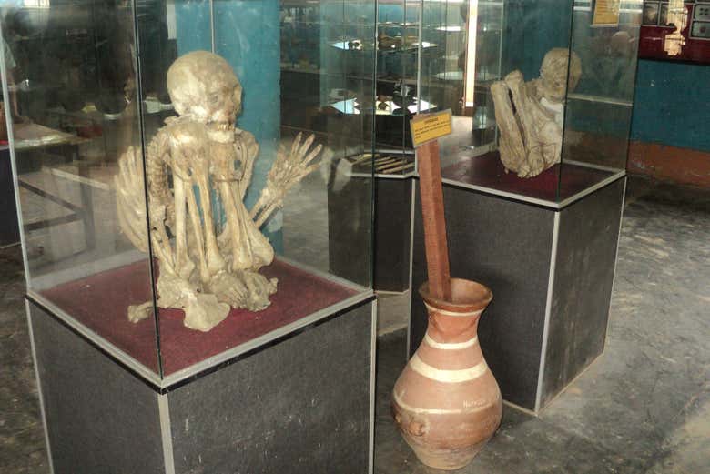 Momias papahuasi en el Museo Distrital