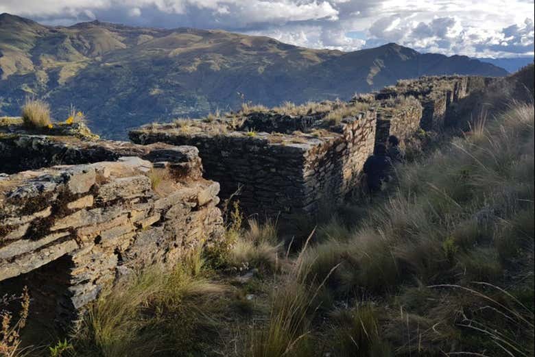 Setor Selmin Granero