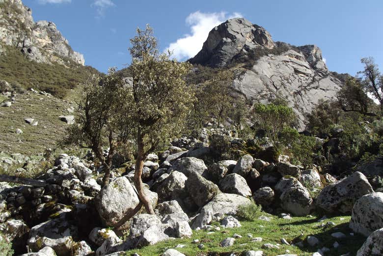 Excursión a la laguna Rajucolta