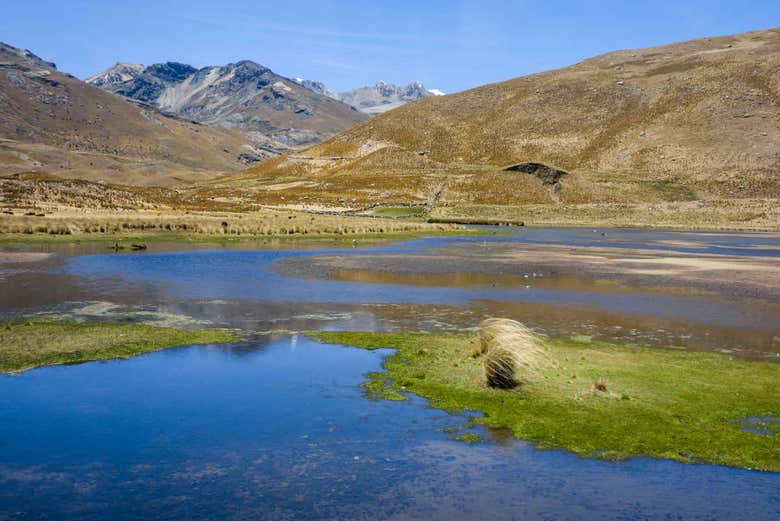 Laguna Patococha