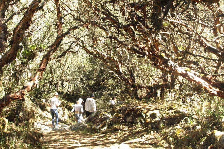Trilha pelo Parque Nacional Huascarán