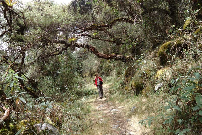 Caminhando pelo Parque Nacional Huascarán