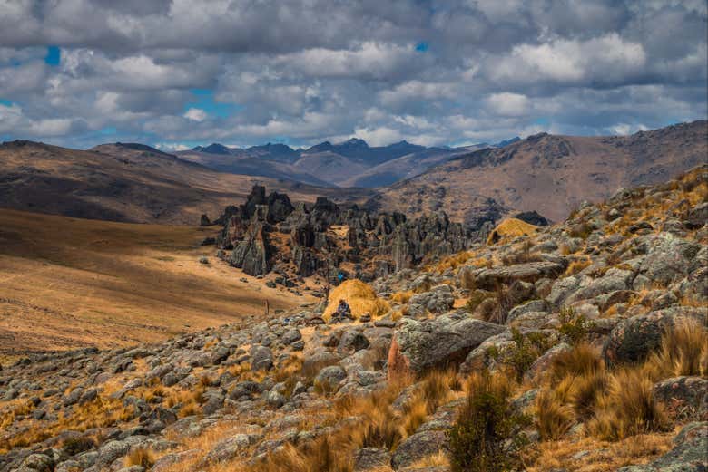 Vistas del bosque de piedras