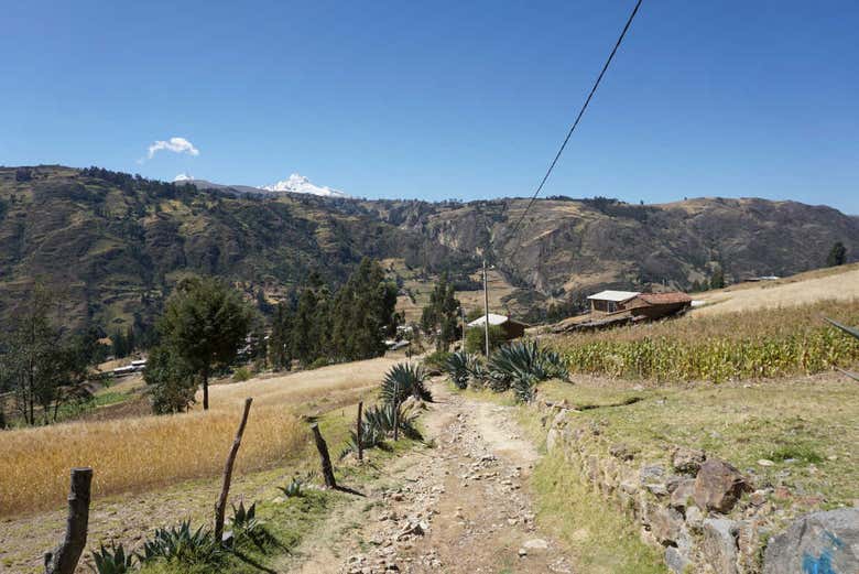 Senderos de trekking a la laguna Wilcacocha