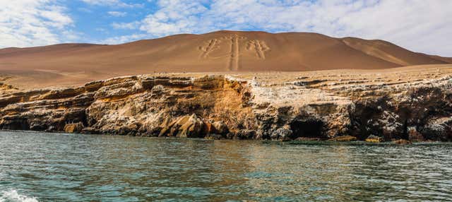 Excursión privada desde Ica