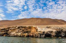 Excursión privada desde Ica