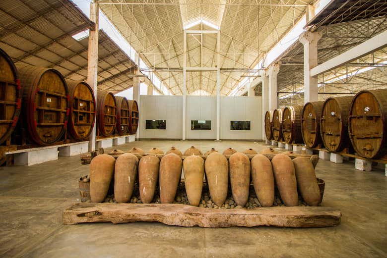 Visitando una bodega de pisco en Ica