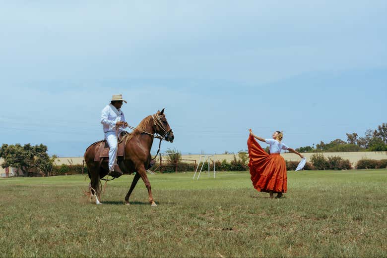 Admirando el elegante show de caballos peruanos de paso