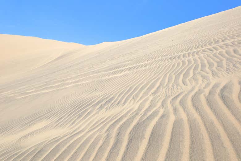 Parajes áridos del desierto