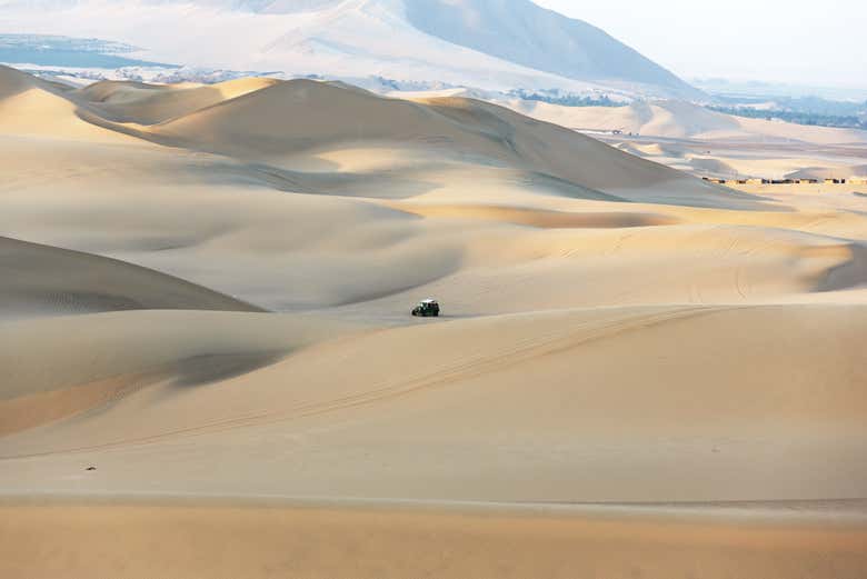Contemplez les dunes