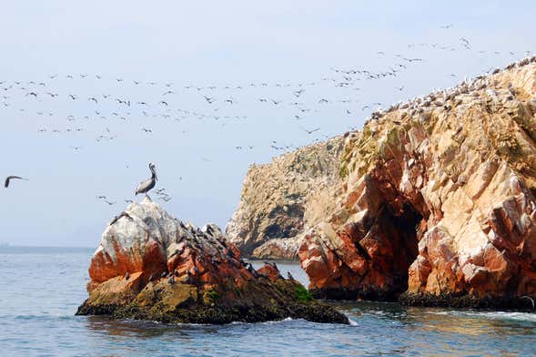 Tour de 3 dias por Nazca, Ica e Paracas