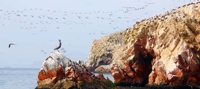 Tour de 3 días por Nazca, Ica y Paracas