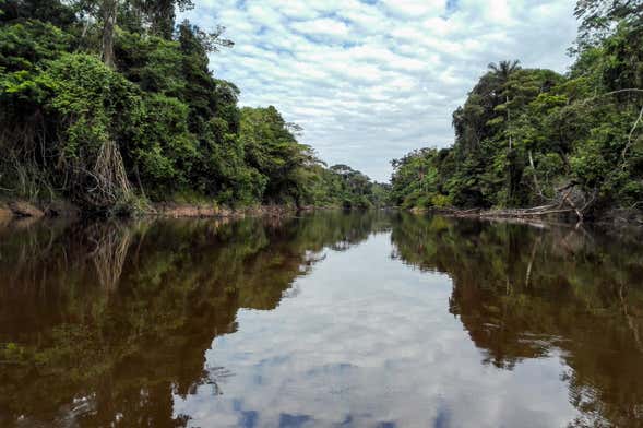 Pacaya Samiria Day Trip