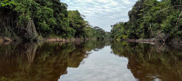 Excursión a Pacaya Samiria