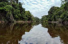 Excursão a Pacaya Samiria