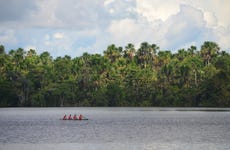 Excursión al río Amazonas