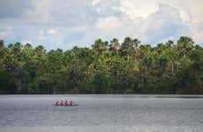 Excursion sur le fleuve Amazone