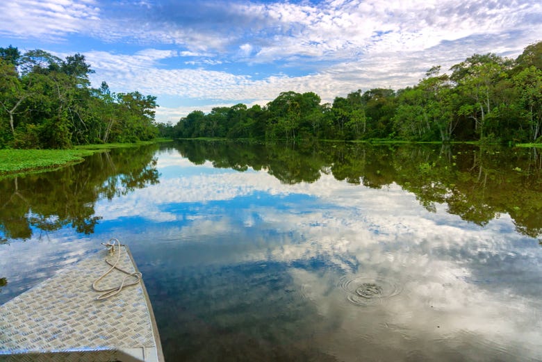 Journée dégagée dans la forêt amazonienne