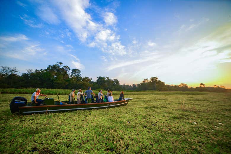 Naviguez sur les eaux couvertes de végétation