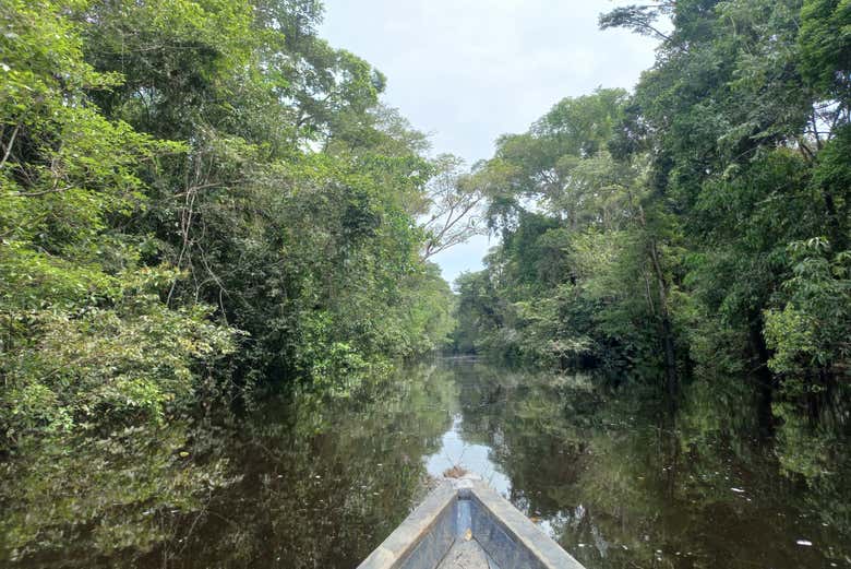 Você aprenderá a história do rio mais longo e volumoso do mundo