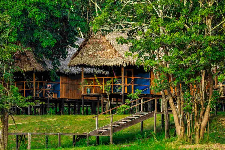 Cabañas del campamento del Amazonas 