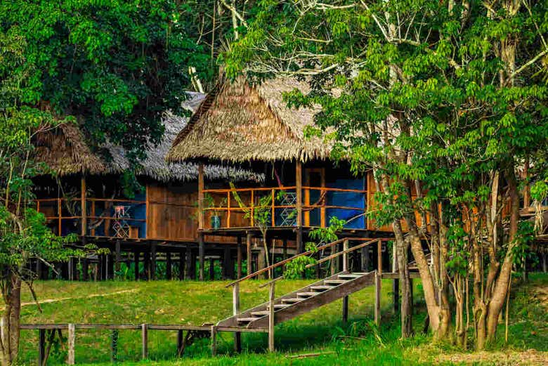 Cabañas del campamento del Amazonas 