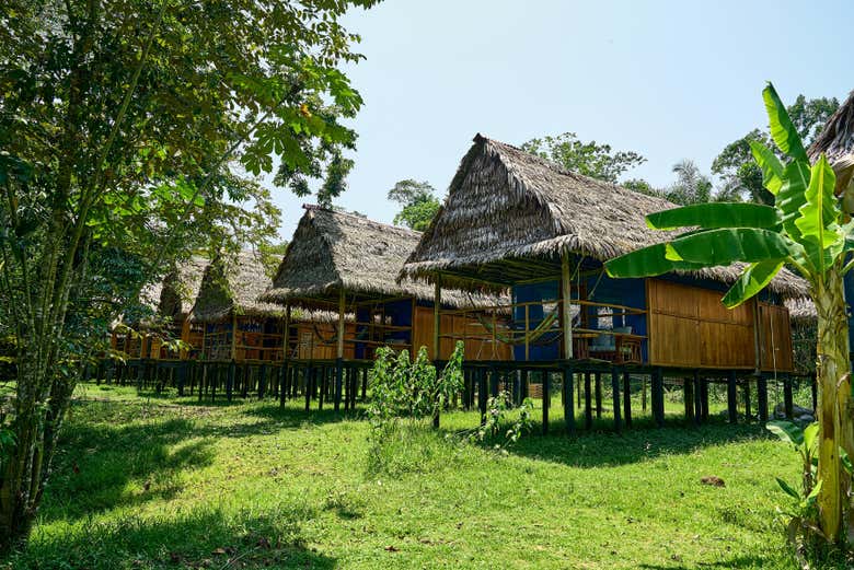 Cabanas no acampamento