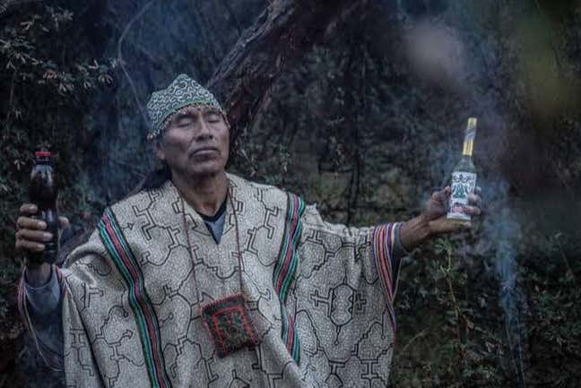 Chaman de l'Ayahuasca