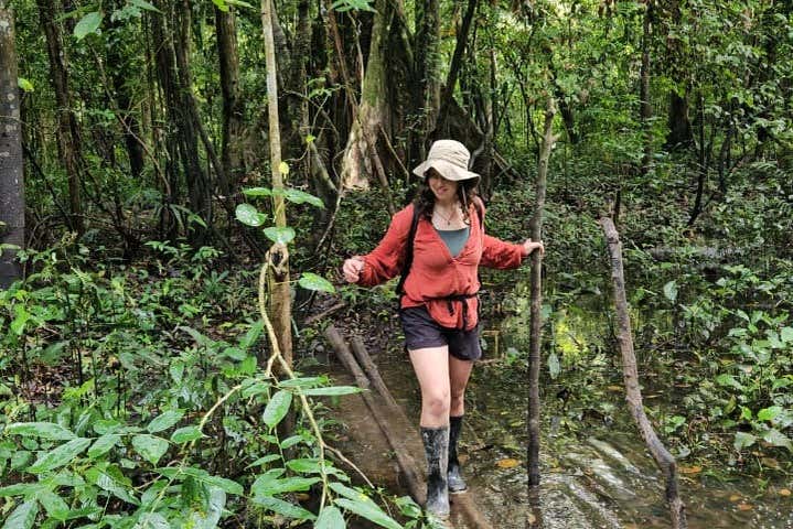 Realizaremos una caminata botánica por la selva