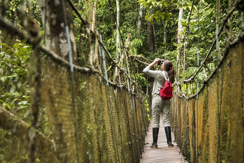 Discovering the Amazon