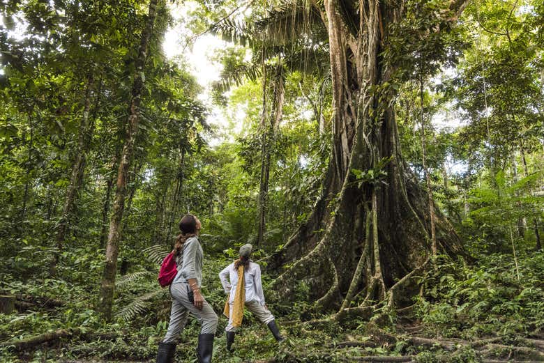 Excursiones al aire libre
