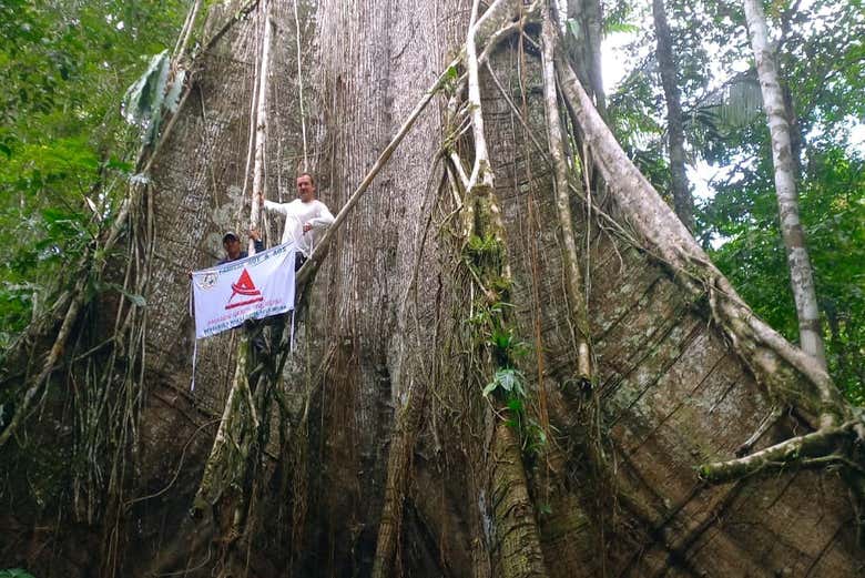 Un árbol gigante a orillas del río Yanyagua