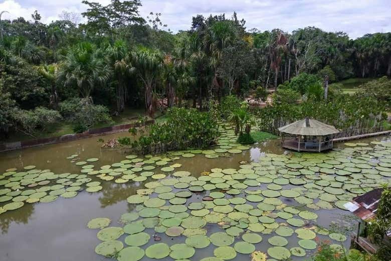 Paisajes de la Amazonía peruana