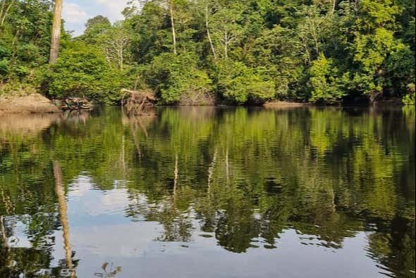 Paisajes del río Yanayacu