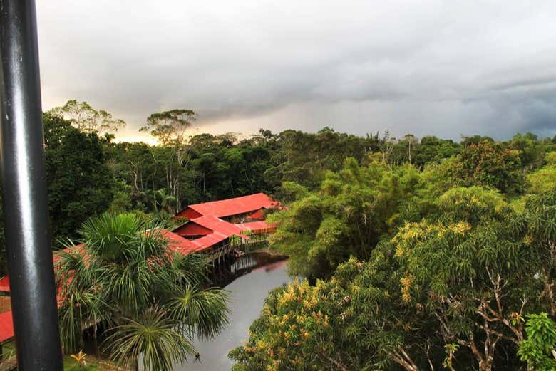 Panorâmica das paisagens amazônicas