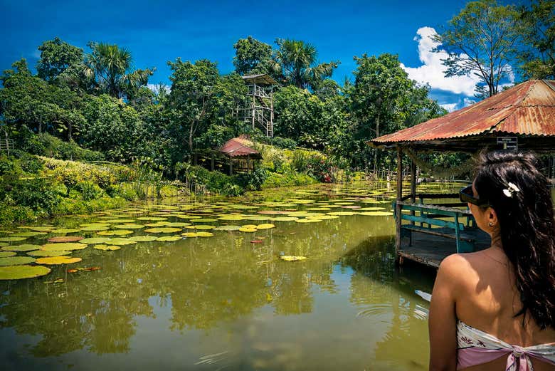 Contemplando el panorama de Victoria Regia