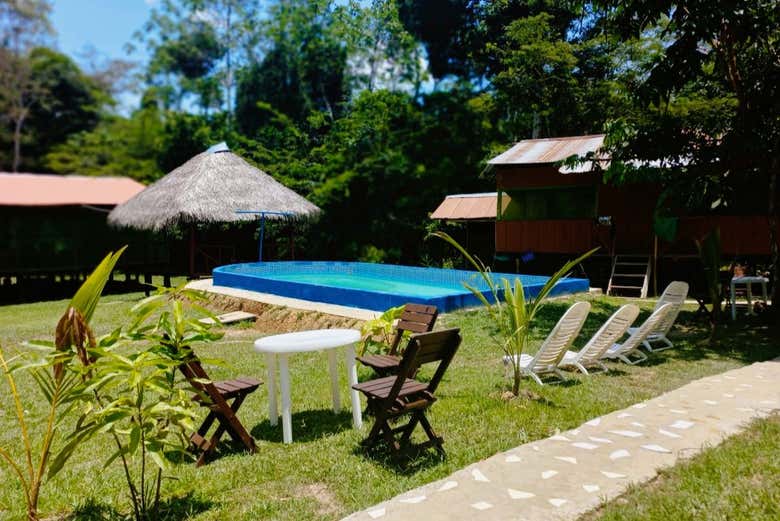 The hotel's pool