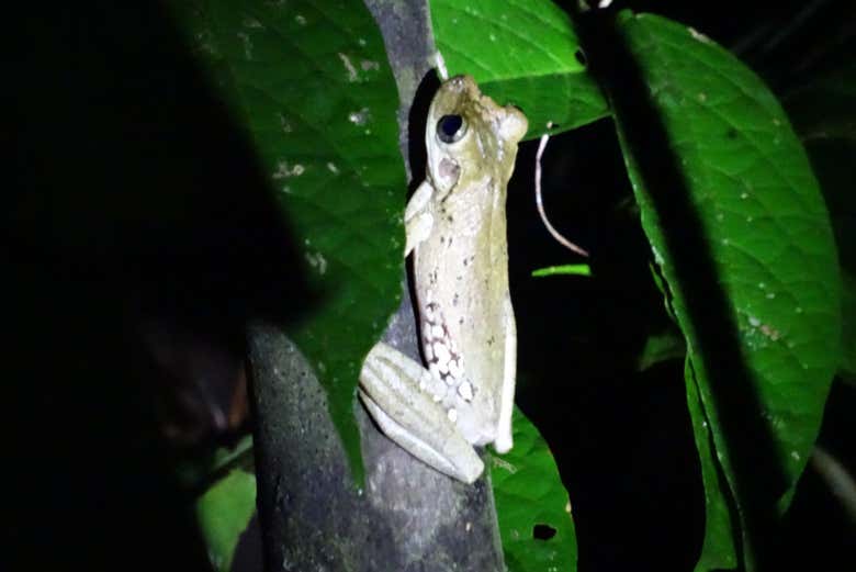 Fascinating wildlife