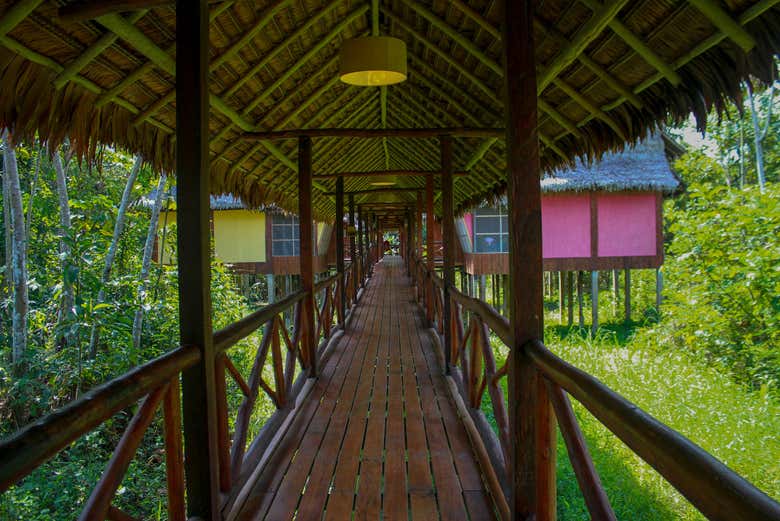 ¡El sitio perfecto para relajarse!