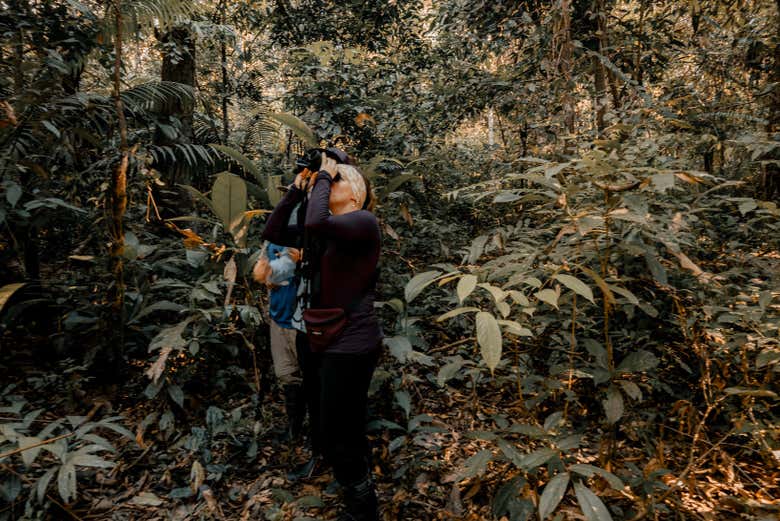 Durante o avistamento