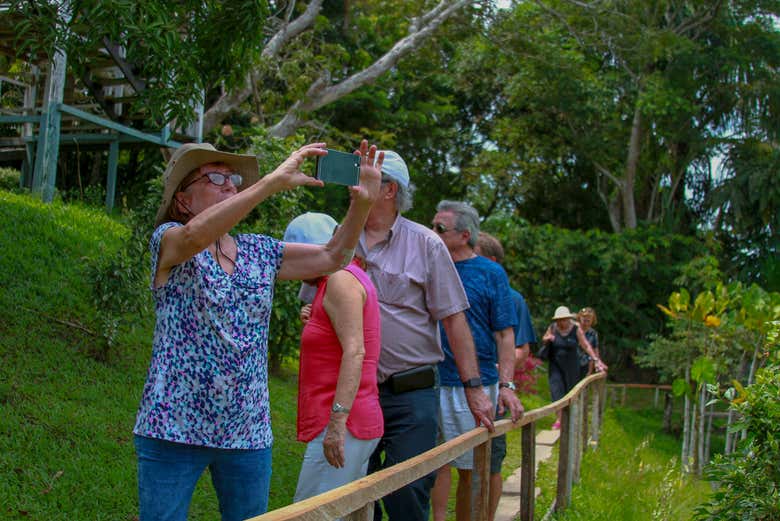 Practicando senderismo por el bosque