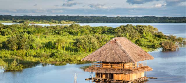Tour de 2 días por el Amazonas