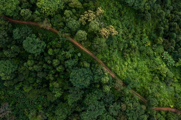 Excursion de 4 jours dans le nord de l’Amazonie