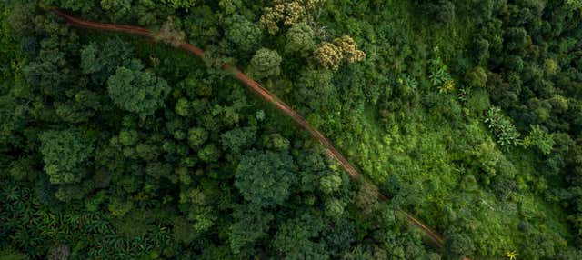 Tour de 4 días por el norte del Amazonas