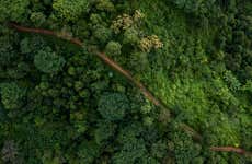 Tour de 4 dias pelo norte da Amazônia peruana