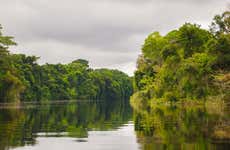 Tour de 3 o 4 días por Pacaya Samiria