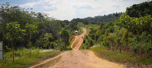 Tour de aventura en Iquitos